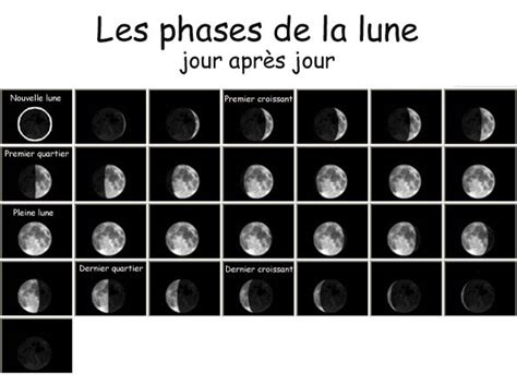 Visuel Sur Le Cycle De La Lune Cycle De La Lune Phase De La Lune