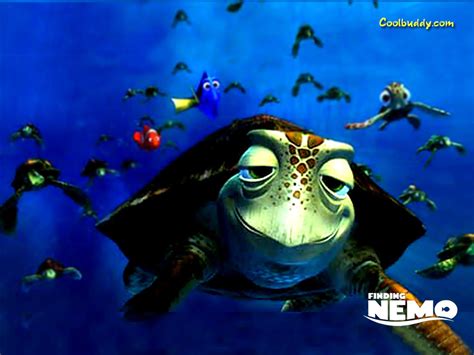 Finding Nemo Pixar Wallpaper 67269 Fanpop