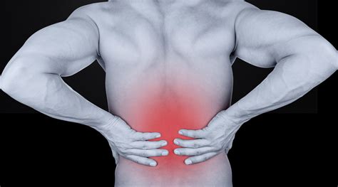 Low Back Pain Treat And Prevent It — Advanced Human Performance Official