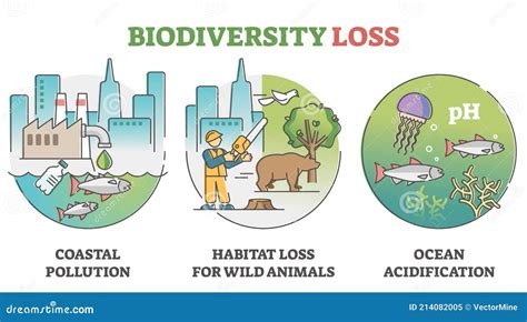 Biodiversity Loss Issues And Causes As Climate Wildlife Problem Outline