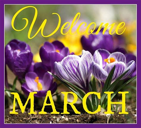 Welcome March Hello March Happy March March
