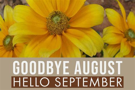 Goodbye August Hello September Bluejean Corner