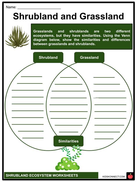 Shrubland Ecosystem Worksheets Features Examples Plants