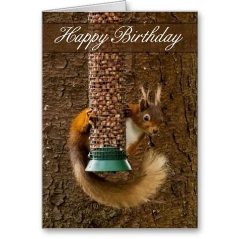 Red Squirrel Birthday Card Birthday Cards Printing