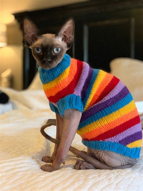 Clothing For Cats Clothes For Sphynx Cat Clothes Sweater Etsy In 2021