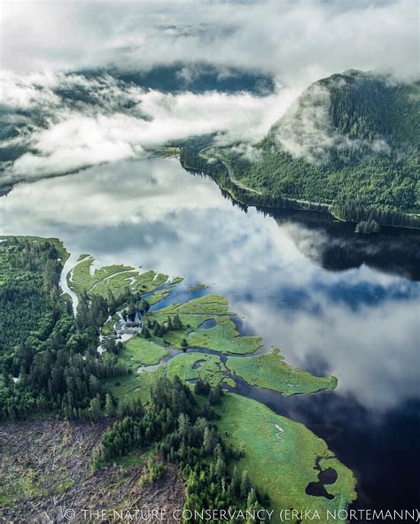Natureconservancy Tongass National Forest Nature Travel Adventure