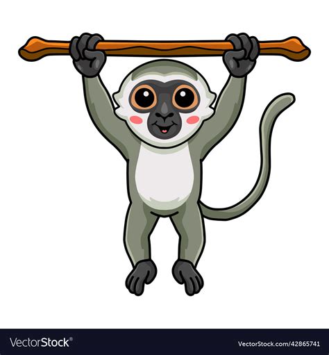 Cute Little Vervet Monkey Cartoon Hanging On Tree Vector Image