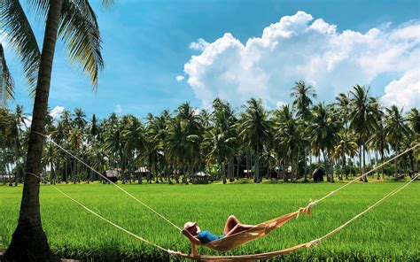 Tourist play swing in kampung agong. 8 secret green spaces in and around Penang you need to ...