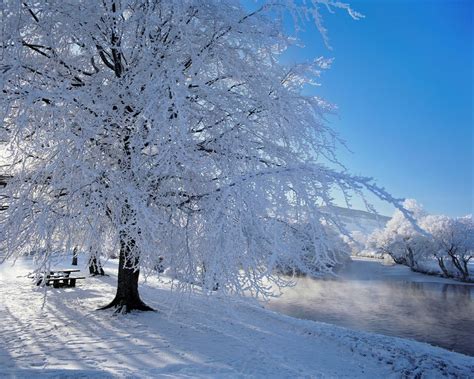 Pero después de todo, ¿cuáles son los lugares en brasil en los que este fenómeno es más común? nieva | Banco de Imágenes Gratis: La nieve, el mar y los ...