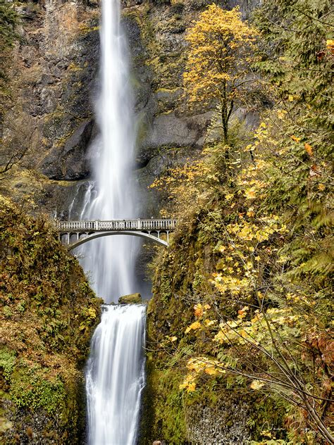 Multnomah Falls Fall Colors At This Famous Water Falls In Memoriam