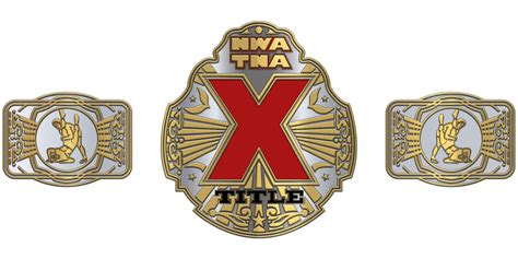 The Wwe Wrestling Championship Belt Is Shown In Three Different Colors And Sizes With Two Logos On