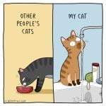 Charming Cat Comic Illustrates The Weird And Wonderful Ways Of Felines