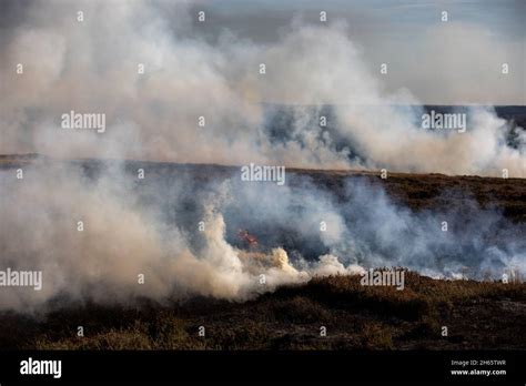 081021 North York Moors Heather Burning In Various Locations In The