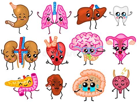 Set Of Organs Cute Happy Human Smiling Characters Vector Pins