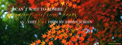 Quotes facebook covers are updated everyday. Funny Fall Quotes Images - Funny Autumn Quotes Pictures