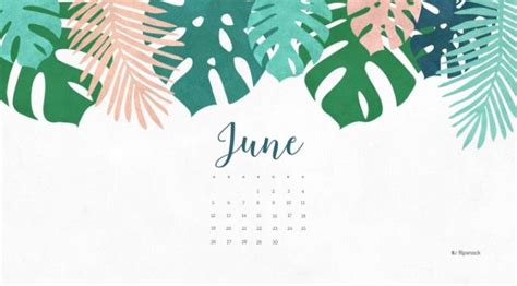 June Wallpaper Backgrounds Calendar Wallpaper Desktop Wallpaper