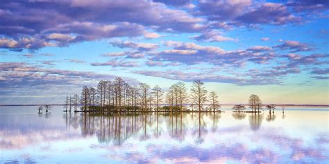 Lake Mattamuskeet Photograph By Jay Wickens Pixels