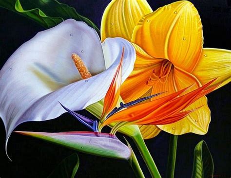 Arte En Pinturas Al Oleo De Flores Realistas Flower Art Flower