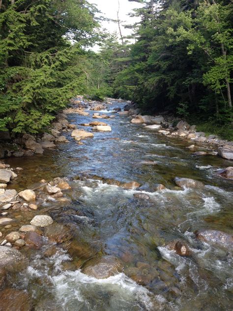 Wilderness Trail Lincoln NH Wilderness Trail, New Hampshire, Lincoln