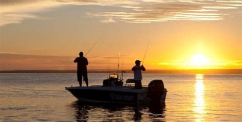 Egi Action Violent Squidding Fishing World