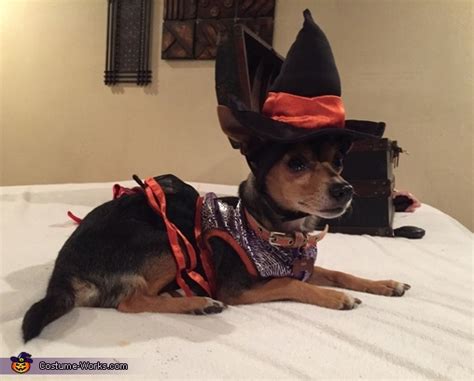 Dog Devil Costume Affordable Halloween Costumes Photo 22