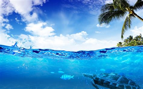Underwater HD Wallpaper | Background Image | 1920x1200