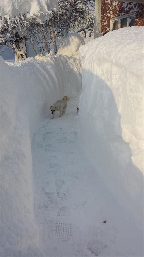What 7 Feet Of Snow Looks Like The 2014 Buffalo Blizzard