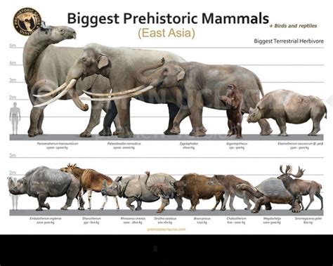 Biggest Prehistoric Mammals Of East Asia Herbivore Po