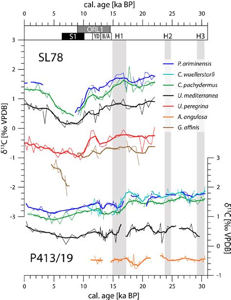 Pdf Stable Isotope Composition Of Benthic Foraminifera Species