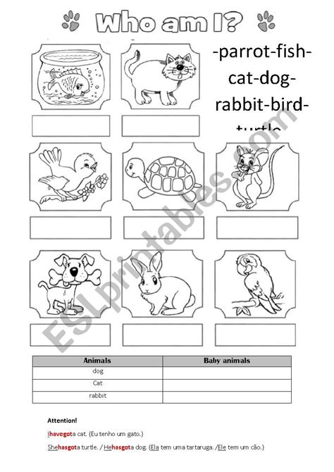 Pets Vocabulary Esl Worksheet By Celiamc