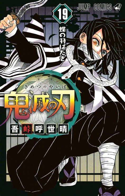 Art Kimetsu No Yaiba V19 Cover Manga
