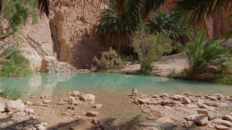 Chebika Mountain Oasis Tozeur Governorate 7407468 Stock Video At Vecteezy