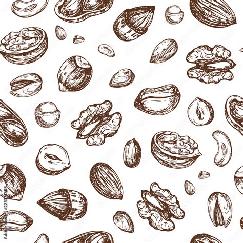 Nuts Seamless Pattern Dried Fruit And Nut Endless Vector Texture