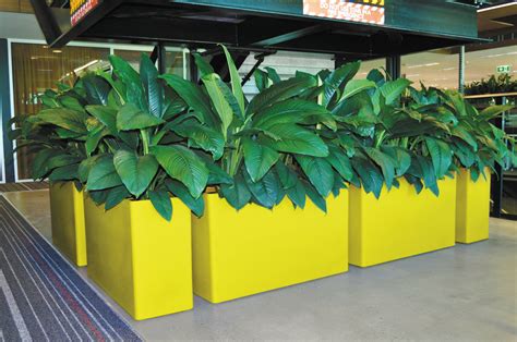 Urban 10 Planter By The Container Connection Rectangular Planters
