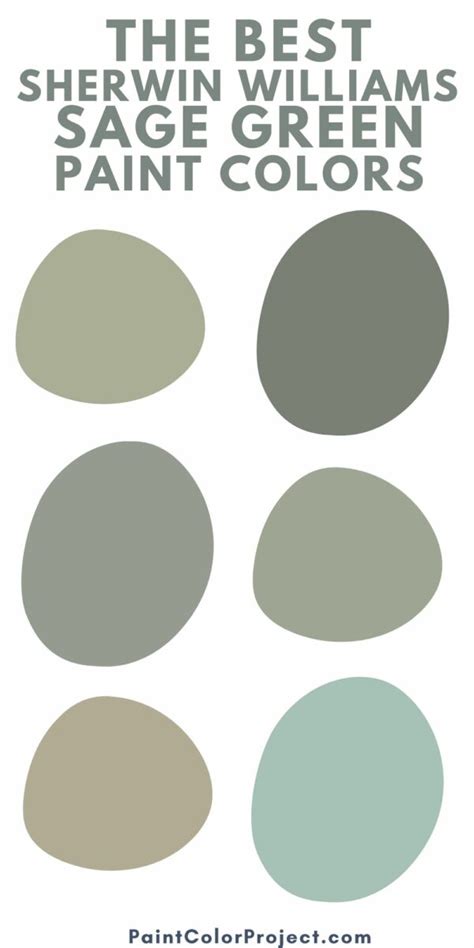 The 6 Best Sherwin Williams Sage Green Paint Colors The Paint Color