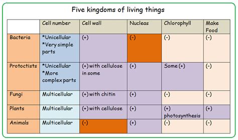 3 Five Kingdoms Of Living Things Biology Notes For