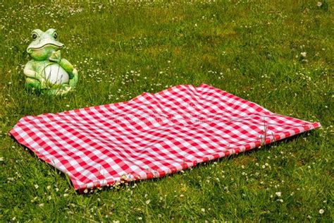 Red Picnic Blanket Red Checkered Picnic Cloth On A Flowering Meadow