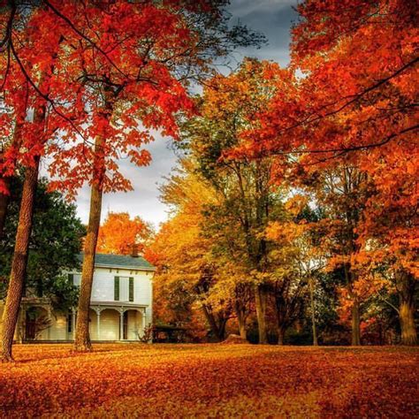 Shop Local Kentucky On Instagram “kentucky Autumn Looks Good On You