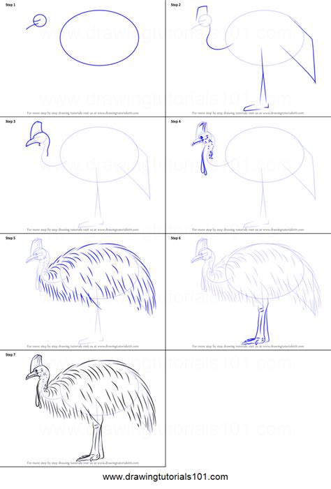 The upper body is simple: How to Draw a Southern Cassowary printable step by step ...