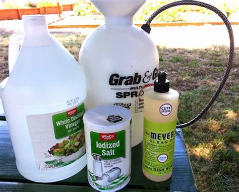 10 Homemade And Safer Weed Killers That Actually Work Bless My Weeds