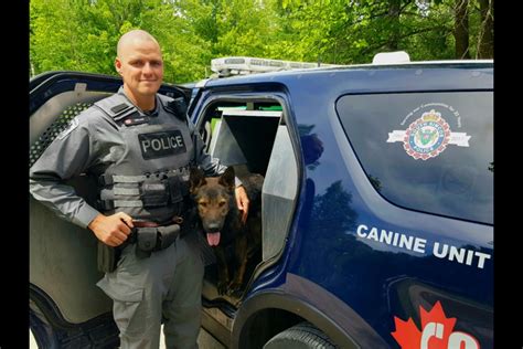 Meet Shawn And Nitro What Its Like Being South Simcoe Polices Only K9 Unit Bradford News
