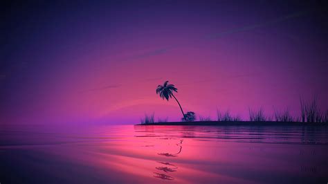 Sunset Palm Tree Scenery 4k 3161m Wallpaper Pc Desktop