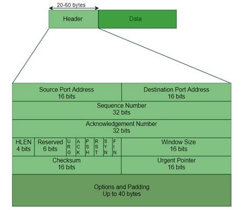 Tcp Packet Structure