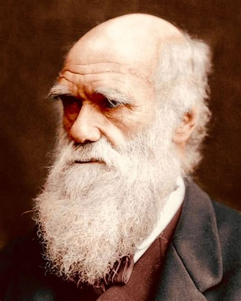 Similitud Y Diferencias Entre Las Teorias Evolutiva De Darwin Y Lamarck Sexiz Pix