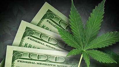 Marijuana Revenue Colorado Money Dollars State Billion