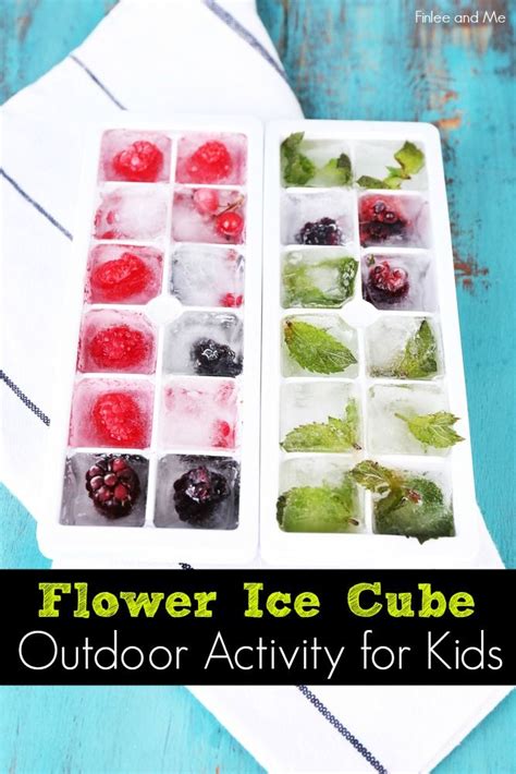Flower Ice Cubes Outdoor Activities For Kids Finlee And Me Frozen