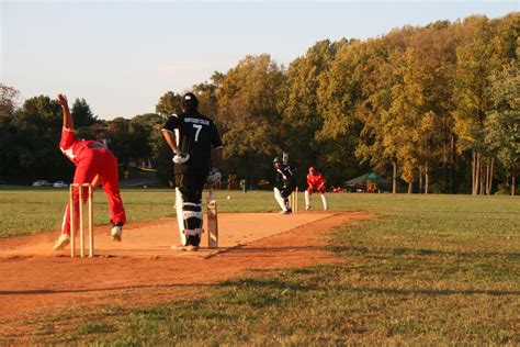 043 « American College Cricket