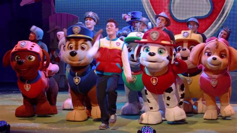 Paw Patrol Live Race To The Rescue Youtube