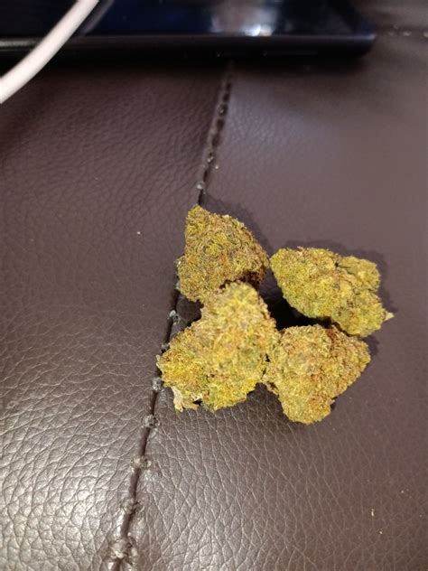 Hawaiian Punch Strain Allbud