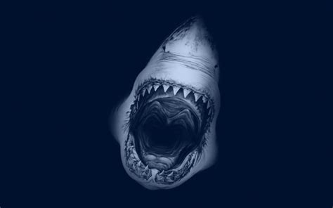 shark screensaver - HD Desktop Wallpapers | 4k HD